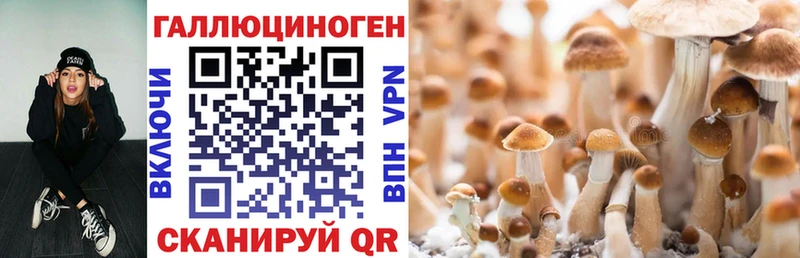 Псилоцибиновые грибы Cubensis  Пойковский 