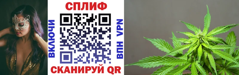 hydra tor  Пойковский  Конопля ГИДРОПОН 